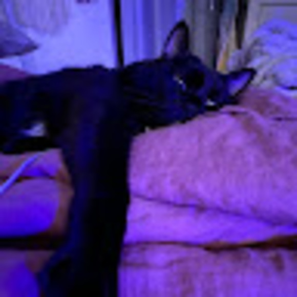 Meet your Posher, Jessica - Picture 1 of 1